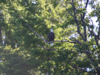 img_4973.jpg